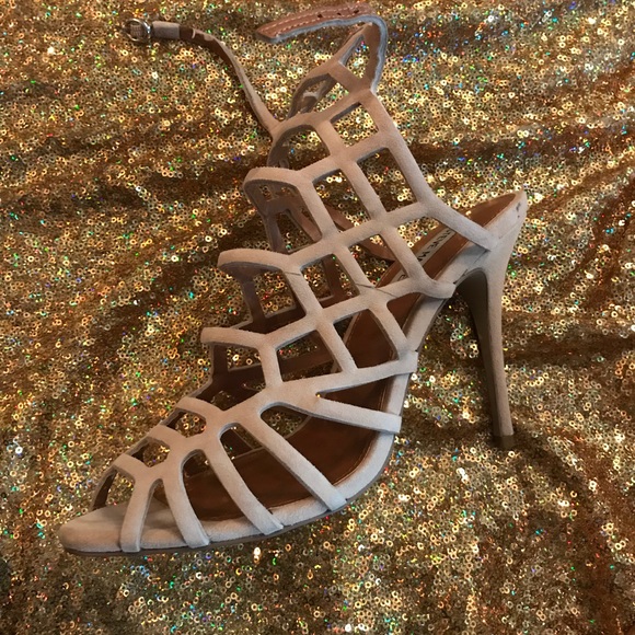 Steve Madden - Picture 6 of 6